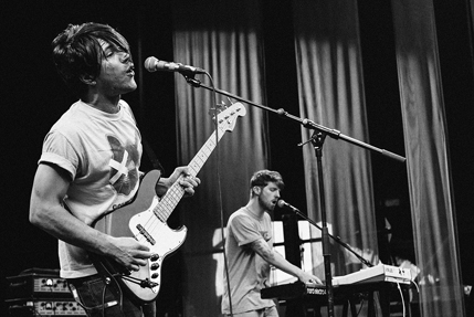 the wombats